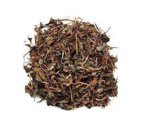 魚(yú)腥草 HOUTTUYNIAE HERBA