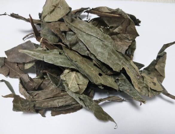 山香圓葉 TURPINIAE FOLIUM