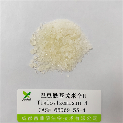 巴豆?；昝仔罤|66069-55-4