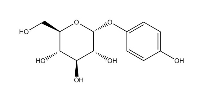 α-熊果苷|84380-01-8