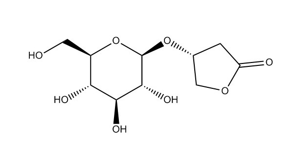 金線蓮苷|151870-74-5